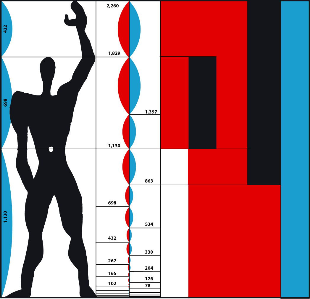 A corbu
