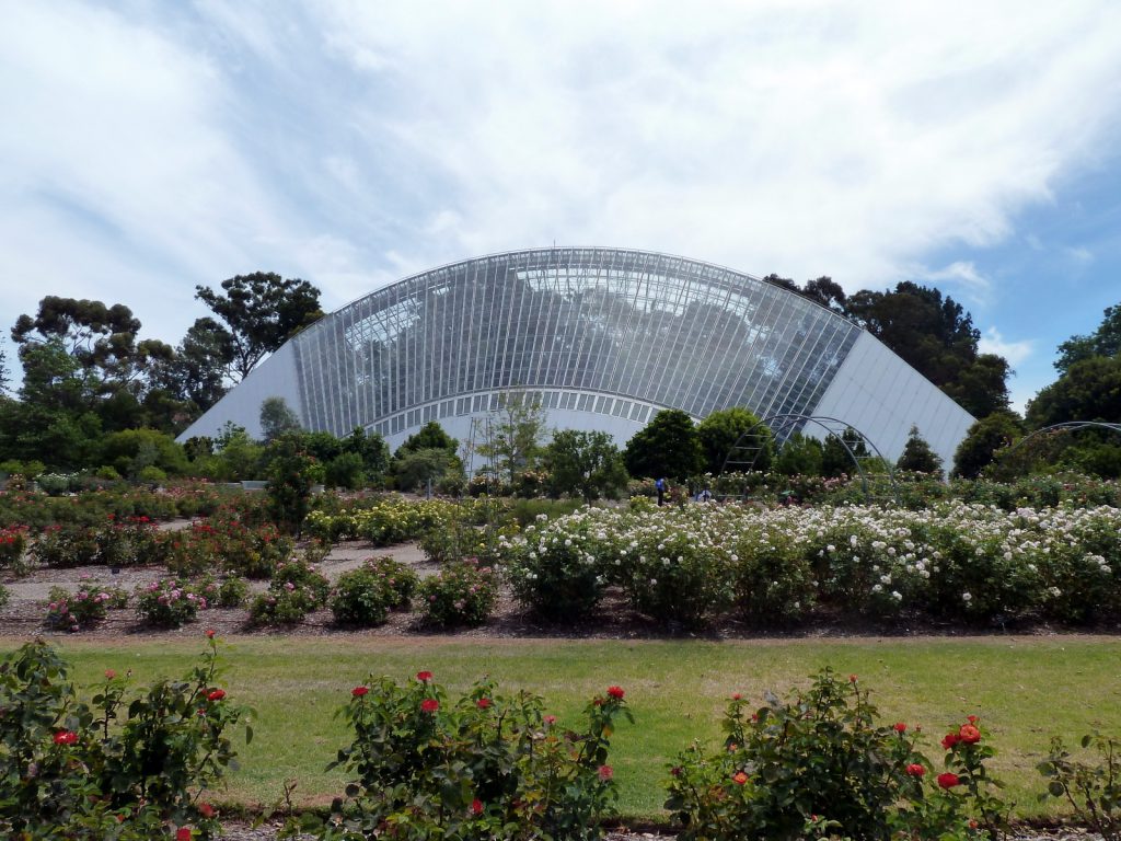 adelaide-botanic-gardens-rainforest-house